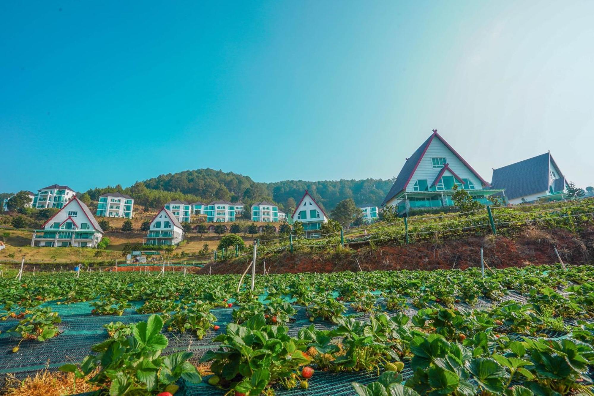 Dalat Wonder Resort Eksteriør billede